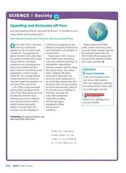 Upwelling and Anchovies off Peru