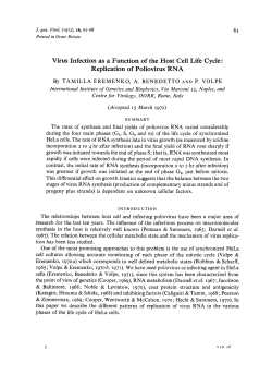 6i Virus Infection as a Function of the Host Cell Life Cycle