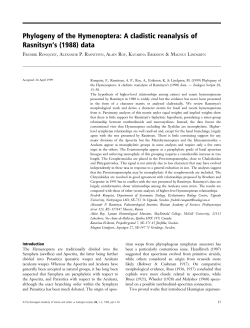 Phylogeny of the Hymenoptera: A cladistic reanalysis of Rasnitsyn`s