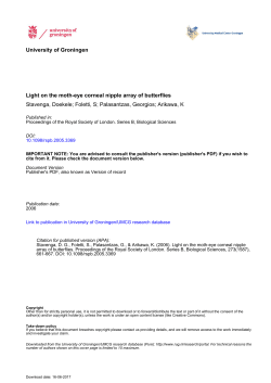 Light on the moth-eye corneal nipple array of butterflies