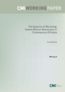 this publication - Chr. Michelsen Institute