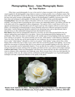 A Few Basic but Important Ideas About Photography