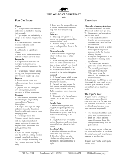 Fun Cat Facts Exercises