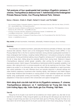 Tail postures of four quadrupedal leaf monkeys
