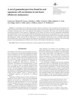 A novel gammaherpesvirus found in oral squamous cell carcinomas