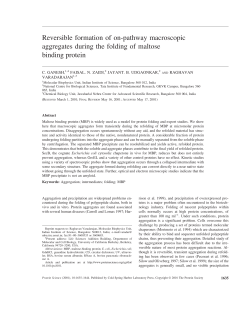 Reversible formation of on-pathway macroscopic