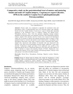 Comparative study on the gastrointestinal tract of mature and