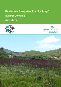 Key Native Ecosystem Plan for Taupō Swamp Complex 2016-2019