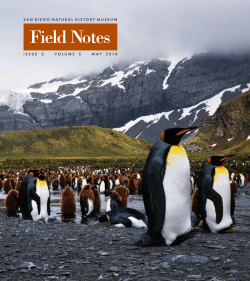Field Notes - San Diego Natural History Museum