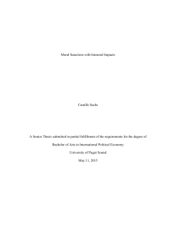 Moral Sanctions With Immoral Impacts - Sound Ideas