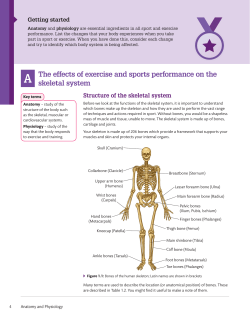 Skeletal System Notes