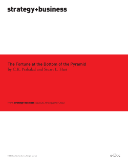 The Fortune at the Bottom of the Pyramid