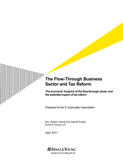 The Flow-Through Business Sector and Tax Reform
