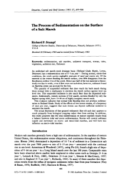 The Process of Sedimentation on the Surface of a Salt