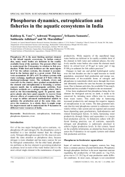 Phosphorus dynamics, eutrophication and fisheries in the aquatic