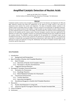 Amplified Catalytic Detection of Nucleic Acids