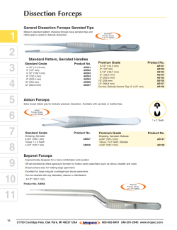 Dissection Forceps