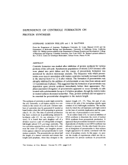 dependence of centriole formation on protein