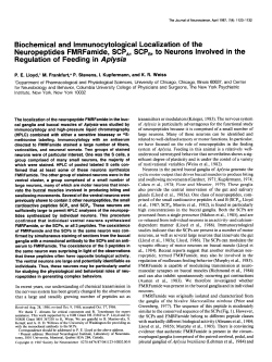 Biochemical and lmmunocytological Localization of the