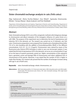 Sister chromatid exchange analysis in cats (Felis catus)