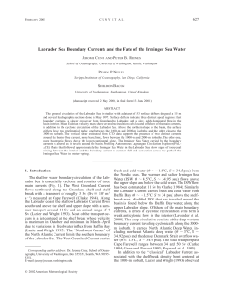 Labrador Sea Boundary Currents and the Fate of the Irminger