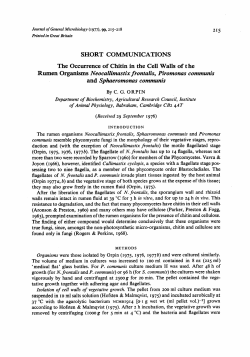 SHORT COMMUNICATIONS The Occurrence of Chitin in the Cell
