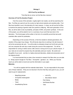 Biology II 2015 Fruit Fly Lab Manual “Time flies like an arrow, but