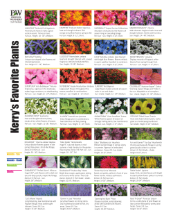 Kerry Ann`s favorite plants (34) - PDF