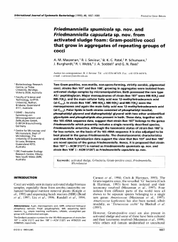 activated sludge foam - International Journal of Systematic and