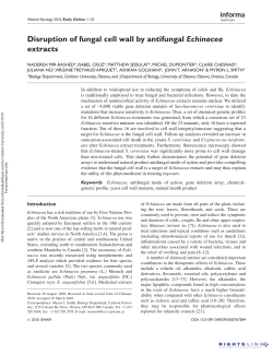 Disruption of fungal cell wall by antifungal