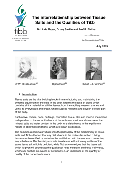 Tissue Salts and the Qualities of Tibb-6