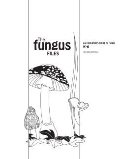 The Fungus Files