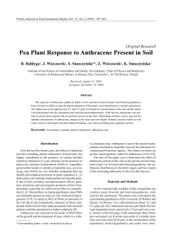 Pea Plant Response to Anthracene Present in Soil