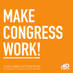 A NO LABELS ACTION PLAN