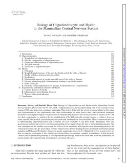 Biology of Oligodendrocyte and Myelin in the Mammalian Central