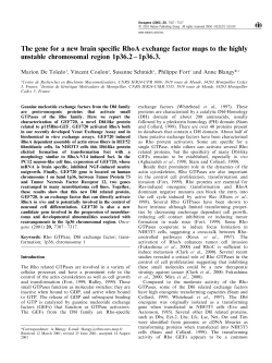 The gene for a new brain specific RhoA exchange factor