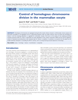 Control of homologous chromosome division in the mammalian oocyte
