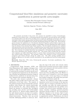 Computational blood flow simulations and