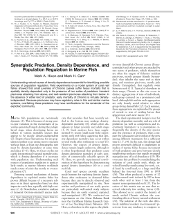 Synergistic Predation, Density Dependence