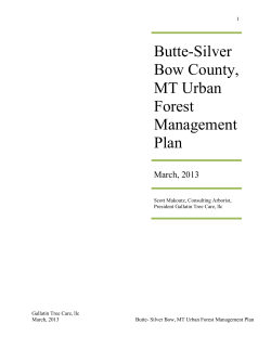 March 2013 - City and County of Butte