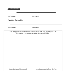 Anthony the Ant Caleb the Caterpillar
