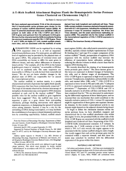 AT-Rich Scaffold Attachment Regions Flank the