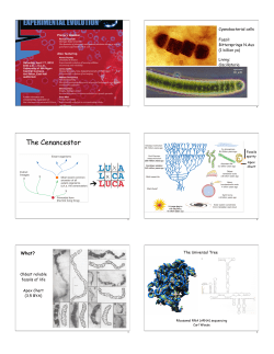 Lect26_Precambrian copy
