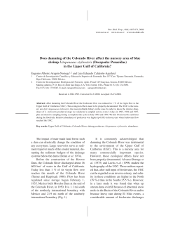 Does damming of the Colorado River affect the nursery area