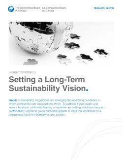 Setting a Long-Term Sustainability Vision.