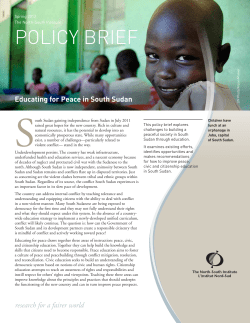 POLICY BRIEF - The North