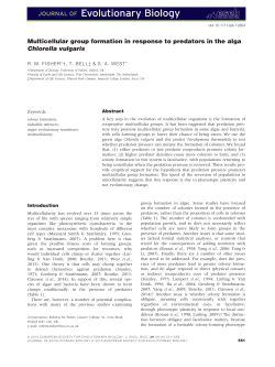 Multicellular group formation in response to predators in the alga