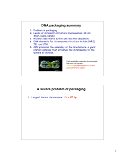 DNA packaging summary