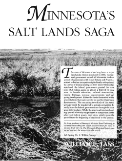 search for salt springs - Collections