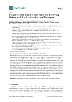 Ptaquiloside in Irish Bracken Ferns and Receiving Waters, with